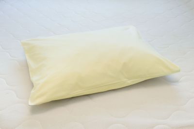 Puuvilla padjapüür Papüürus 50x70