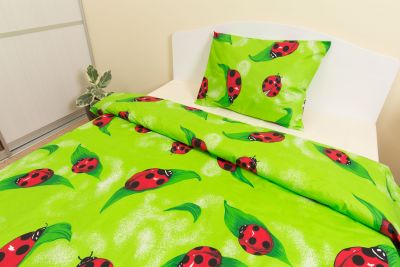 Постельное бельё Детское 110x145 Ladybird